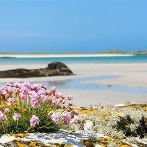 Wild Atlantic Self-catering Inverin